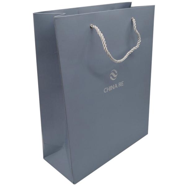 Buy cheap 250gsm Cardboard Paper Shopping Bags Pantone 4C Offset With Handles from wholesalers