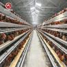 Buy cheap Hot / Cold Dipped Galvanized battery cage chicken farming Wire Mesh from wholesalers