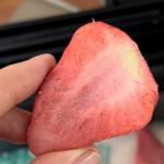Revolutionary Farms Freeze Drying Equipment for Freeze Dried Fruit Meat and