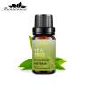 Buy cheap Skin Tea Tree Essential Oil 100% Pure Organic Essential Oil 1kg OEM / ODM from wholesalers
