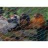 Buy cheap Poultry Netting Chicken Wire Mesh , Plain Weave Galvanized Hexagonal Wire Mesh from wholesalers