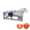 Buy cheap 9.4kw Lavadora de Frutas y Verduras con Burbujas de Aire Limpieza de Brócoli y Berenjena from wholesalers