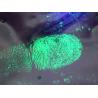Buy cheap C059 Yellow fluorescent small particle reagent from wholesalers