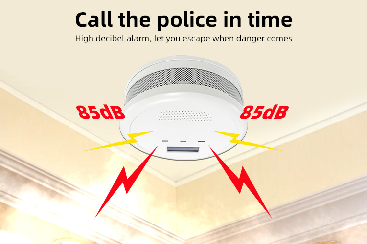 Fire Detector Carbon Monoxide Alarm With Digital LCD Display And LED Index Light