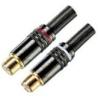 Buy cheap plug and connectors from wholesalers