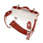 Manufacture Direct Selling Durable Dog Harness Walking Pet Accessory Waterproof