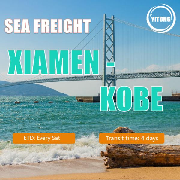 Buy cheap Sea Freight From Xiamen China To KoBe Japan from wholesalers