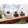Buy cheap Glass Salt And Pepper Shakers Set Of 3 Pieces Capacity 17ml Condiment Shakers from wholesalers
