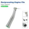 Buy cheap Reciprocating Handpiece 10:1 Endodontic Treatment With Fiber Optical from wholesalers