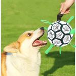 Multifunctional Outdoor Interactive Soccer Ball Toy For Dog Nibbling Training