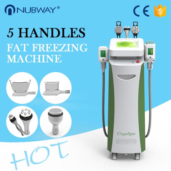Buy cheap Cryolipolysis Machine, Cryolipolysis Fat Freezing Machine, Cryolipolysis Slimming Machine from wholesalers