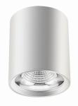 Dia-cast aluminium LED surface mounted downlight 30W hotel shopping mall COB