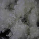 Non Fluorescent Nontoxic Polyester Staple Fibre 3D×25mm Pure White Psf For