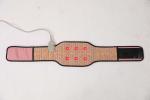 Pemf Far Infrared Heating Belt Tourmaline Negative Ion Infrared Heating Body