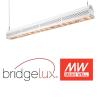 Buy cheap Artificial Linear Led Grow Lights , IP67 Outdoor Led Grow Lights 200 Watt from wholesalers