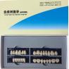 Buy cheap Dentistry Dental Acrylic Resin Teeth A2 A3.5 Dental Acrylic Polymer False Teeth from wholesalers