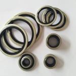 Stainless Steel Rubber NBR Bonded Seal Washer Anti Abrasion