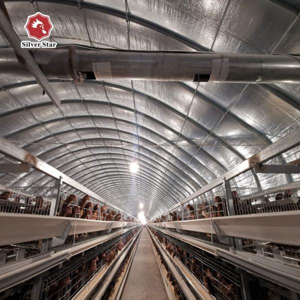 Buy cheap Hot Dip Galvanized H Type Automatic Layer Chicken Cage System from wholesalers