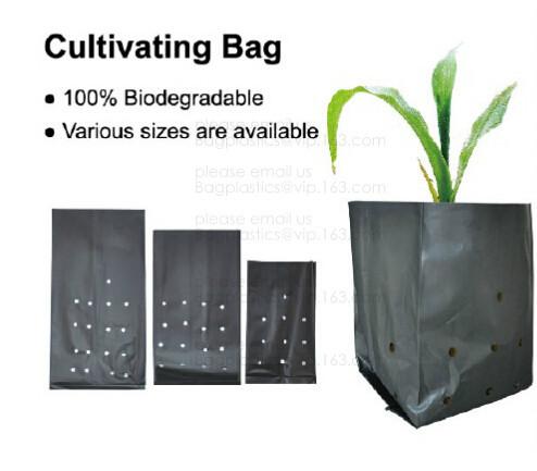 Buy cheap PE CLIPS, CULTIVATING BAG, 100% BIODEGRADABLE VARIOUS SIZE ARE AVAILABLE,GREEN HOUSE,POT, PLANTING, PLANTER, FILM COVER, from wholesalers