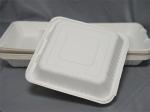 White Hinged Bagasse Takeaway Boxes 431x199x38mm