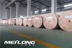 Incoloy Alloy 825 Capillary Seamless Hydraulic Tubing Hydrostatic Tested