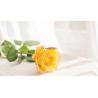 Buy cheap Fresh Flower Accurate Focusight Inspection Machine from wholesalers