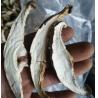 Buy cheap 500g Food Family Pack Dried Sliced Shiitake Mushrooms MOQ5CTN from wholesalers