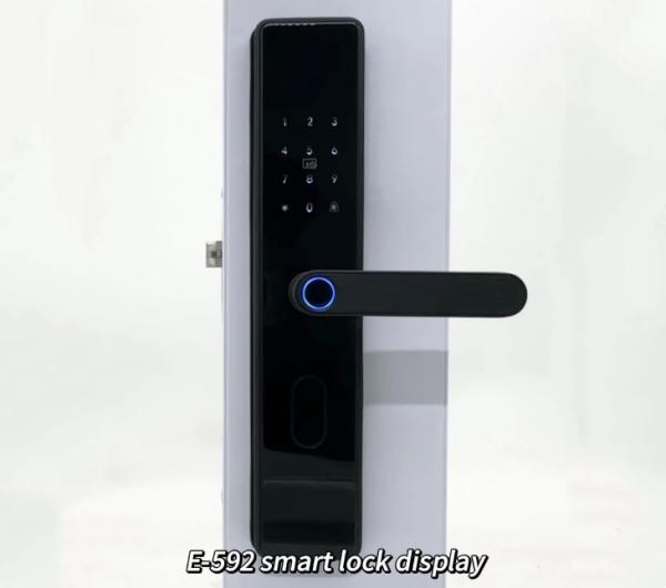 Buy cheap ELA Door LocksLuxury Style Electric Safety Handle Digital Tuya Ttlock Intelligent Wifi Fingerprint Door from wholesalers