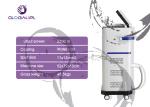 Vertical Beauty Hair Removal Machine Diode Laser Professional 13 * 39mm2 Spot
