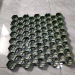Outdoor HDPE PE Grass Planting Grid for Green Black Car Driveway Lawn Parking