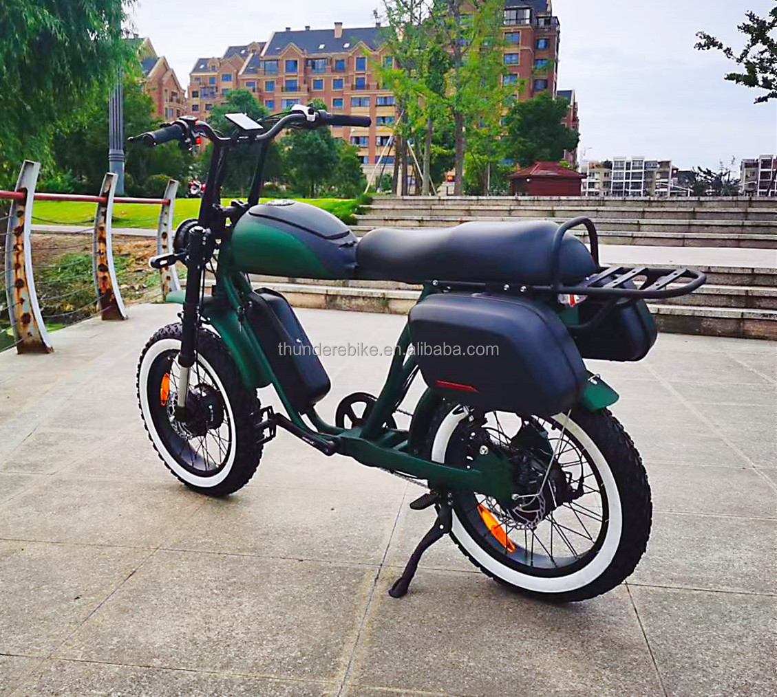 20 Inch Dual Motor Electric Bicycle 7 Speed Full Color Display Fat Tyre Electric Bike