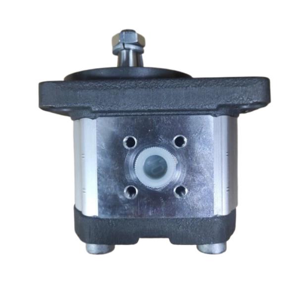 Buy cheap Rexroth 0510425307 Hydraulic Gear Pump Stainless Steel 100% New Original from wholesalers