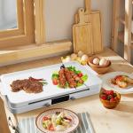 Customized Logo Acceptable 220V Magnetic Electric Induction Cooker with 2 Burner