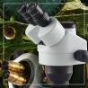 Buy cheap Digital Stereo Microscope from wholesalers