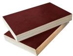 Good quality Film Faced Plywood/marine plywood/shuttering plywood at competitive