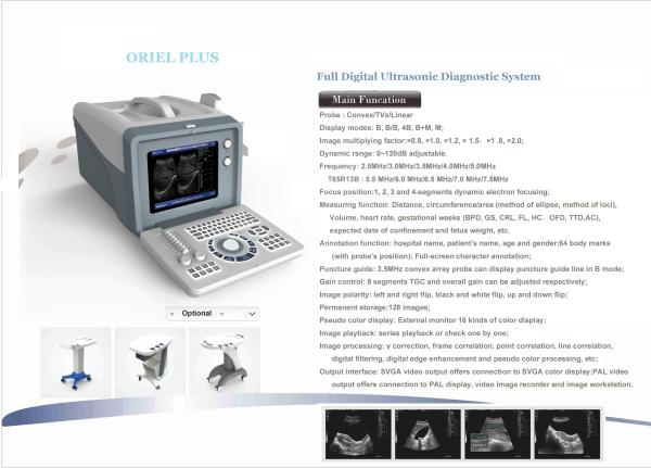 Buy cheap Animal Cattle Veterinary Ultrasound Machines 6.5MHz R13 Cavity Probe from wholesalers