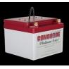 Buy cheap 24Volt 13.6Ah VRLA Concorde Aircraft Battery Platinum Aircraft Spare Parts from wholesalers