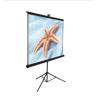 Buy cheap Floor Standing Portable Tripod Projection Screens Stand Mobile style from wholesalers
