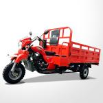 250CC Automatic Lifting Cargo Tricycle Motorized Cargo Trike for Customer