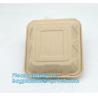Buy cheap Compartment hinged container sugarcane bassage pulp food serving box 750ml bassage take out container bagplastics packa from wholesalers