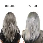 Permanent Hair Color Dye Low Ammonia Organic Bleaching Powder Private Label