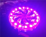 Big size Windmill strobe and Angel eyes flash Rainbow color hot wheels LED