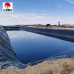 Industrial Design Style 0.2mm-3mm HDPE Geomembrane Liners for Landfill Dam