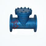 Welded Body T Type Strainer ANSI 150LB / 300LB High Performance 2 Inch - 48 Inch
