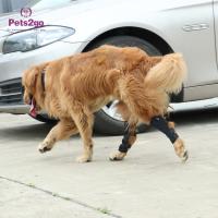 Buy cheap Joint Protection SBR Dog Knee Pad for Surgery Recovery product