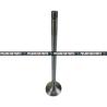 Buy cheap 4926069 Exhaust Intake Valve M11 QSM11 ISM11 Diesel Engine 3417779 from wholesalers