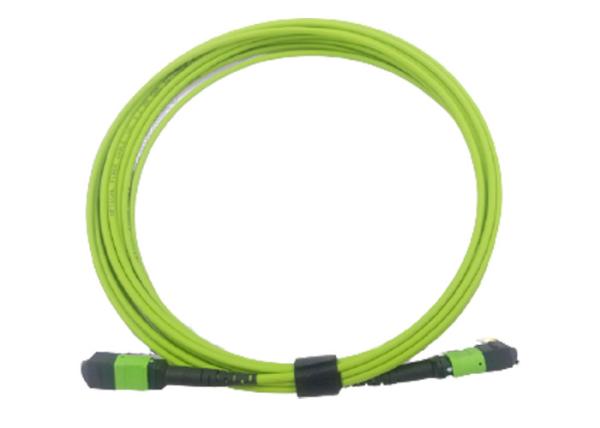 Buy cheap OM5 12F MPO Fiber Optic Patch Cord MTP Female MPO Trunk Cable from wholesalers