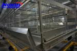 Buy cheap cheap galvanized welded wire high quality poultry chicken cage for sale from wholesalers