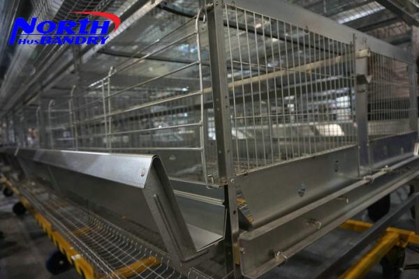 Buy cheap fully automatic build chicken coops/battery cages laying hens/automatic poultry farm equip from wholesalers
