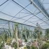 Buy cheap Type Roof Glass Commercial Greenhouse Hydroponic Setup for Year-Round Availability from wholesalers